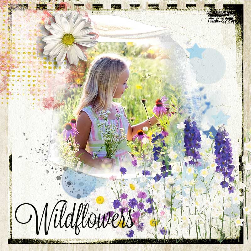 Wildflowers