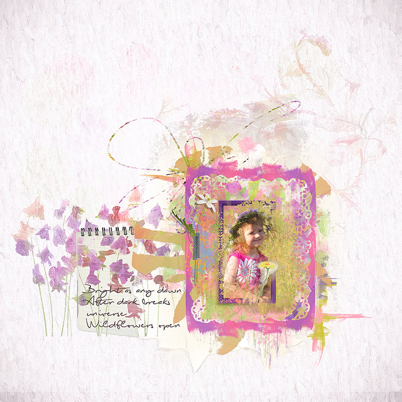 Wildflowers
