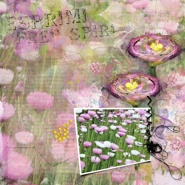 Wildflowers
