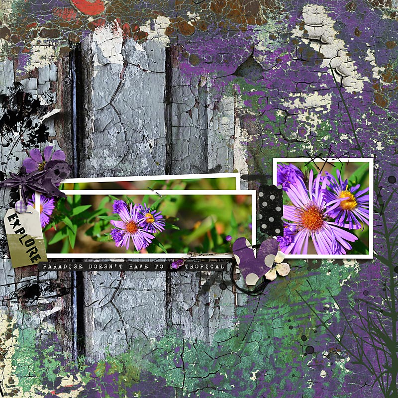 Wildflowers