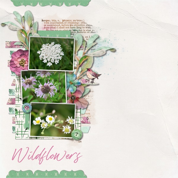 Wildflowers