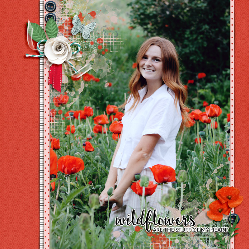 wildflowers