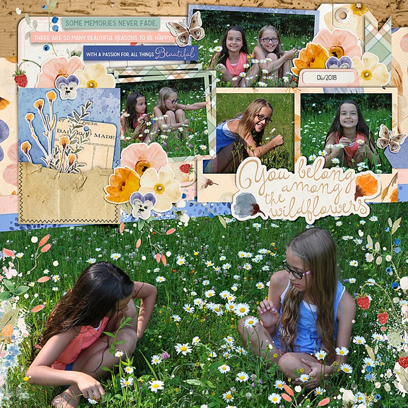 Wildflowers