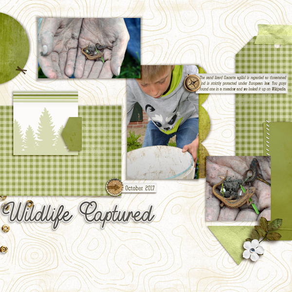 Wildlife Captured