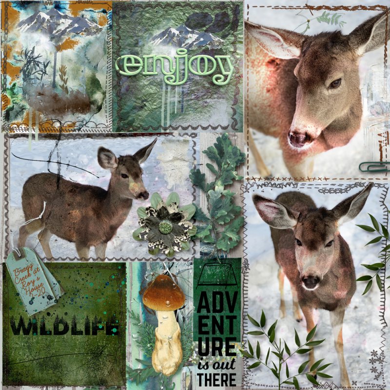 Wildlife