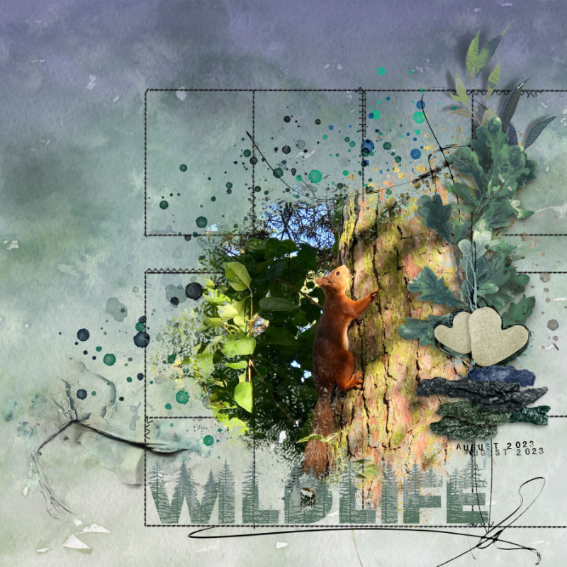 Wildlife