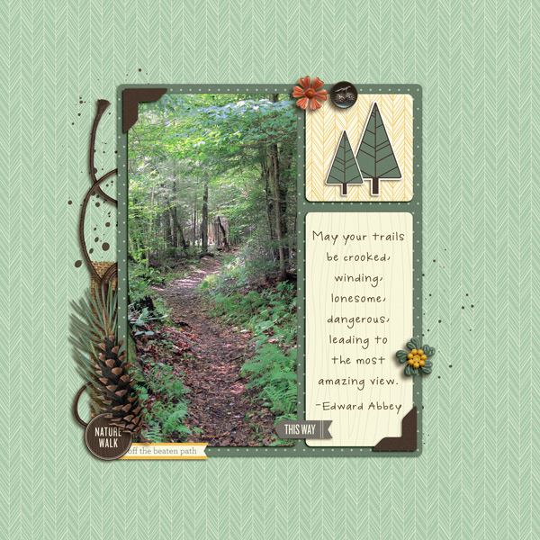 Winding-Trail