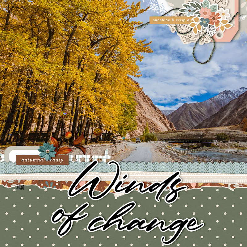 Winds Change