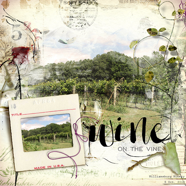 Wine on the Vine