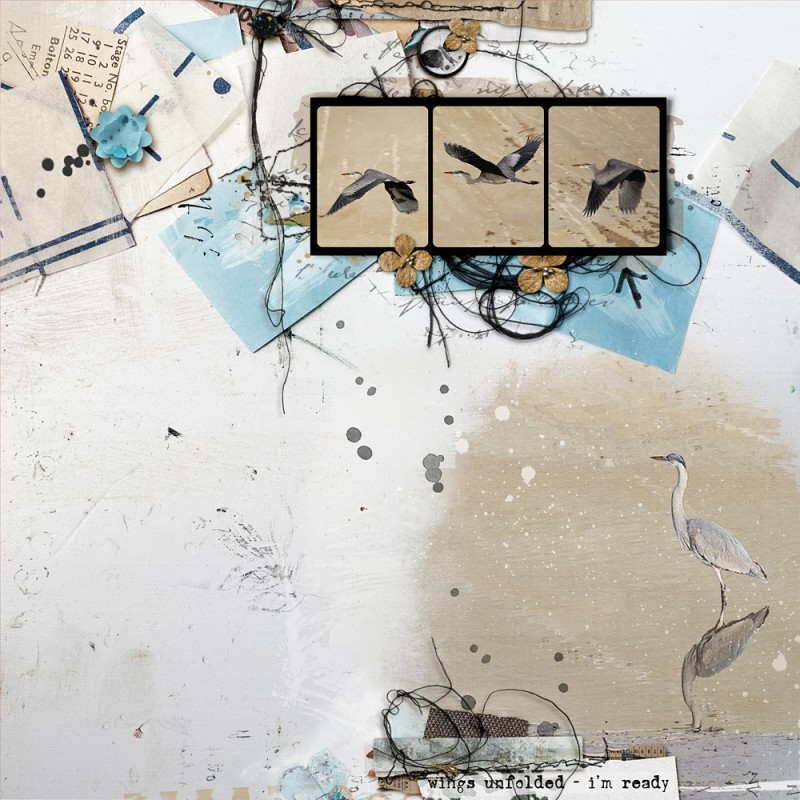 Wings Unfolded - I'm Ready
