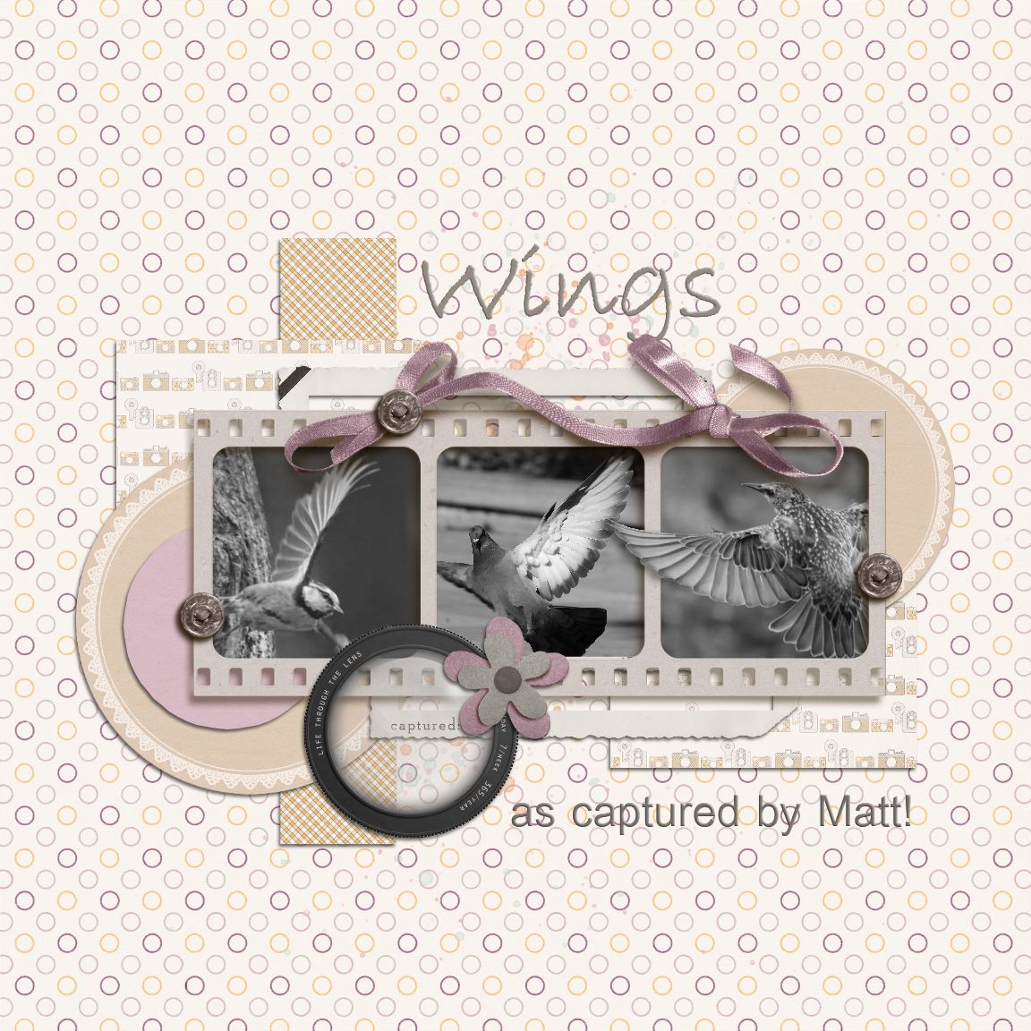 Wings!