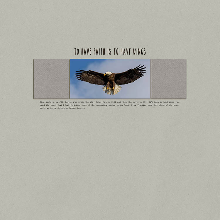 Wings