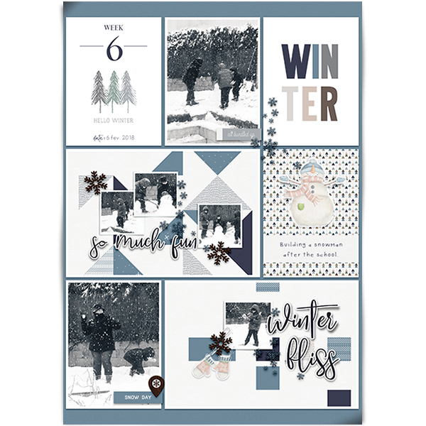 WInter ; 2018 week 6