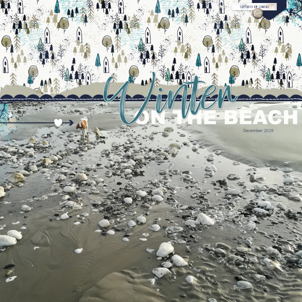 Winter Beach