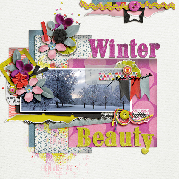 Winter Beauty