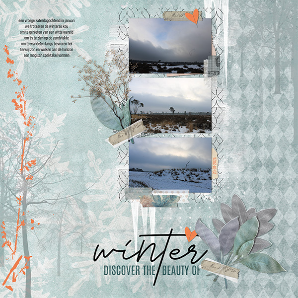 Winter Beauty