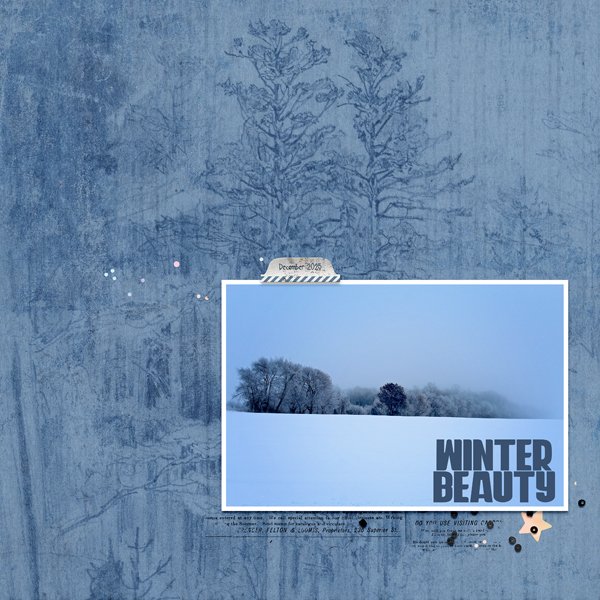 Winter Beauty