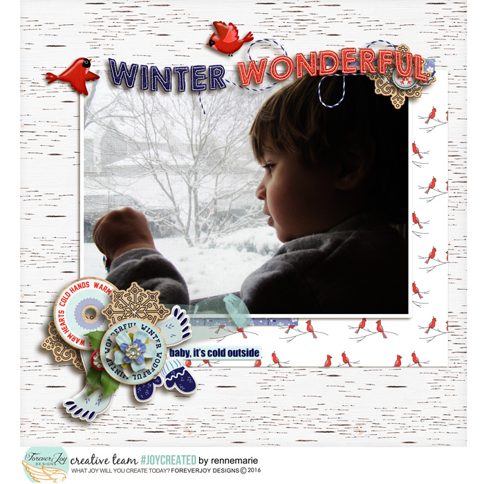 WINTER BIRD WATCHING