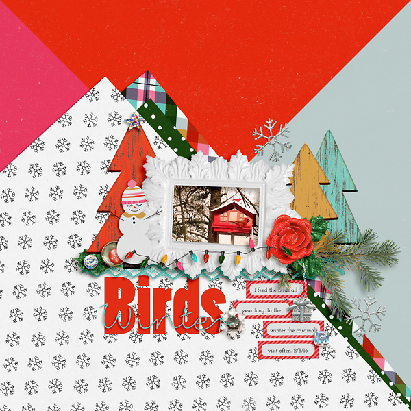 Winter Birds