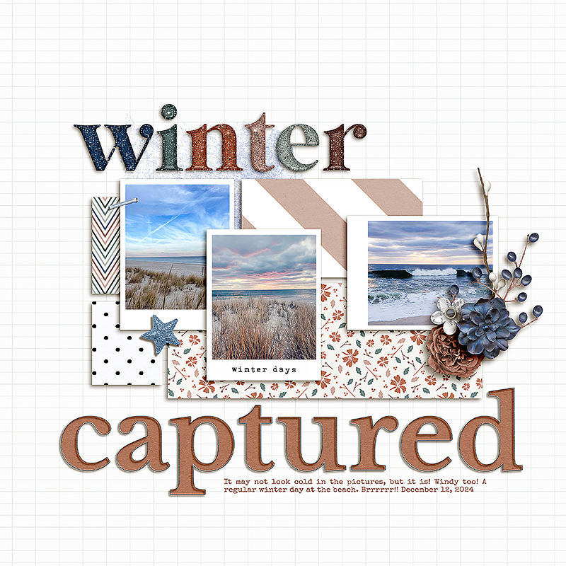 Winter Captured