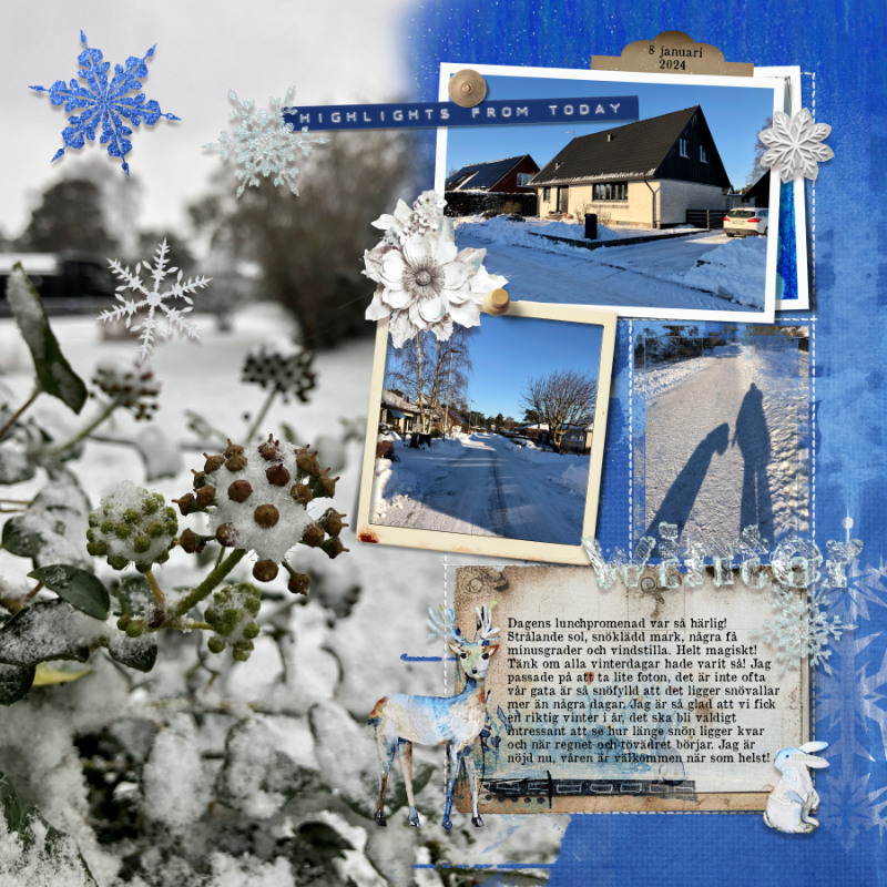 Winter day