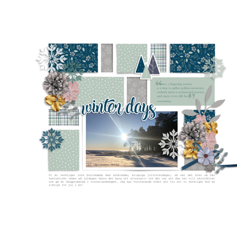 Winter Days
