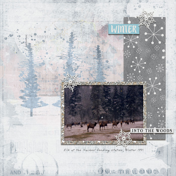 Winter-elk