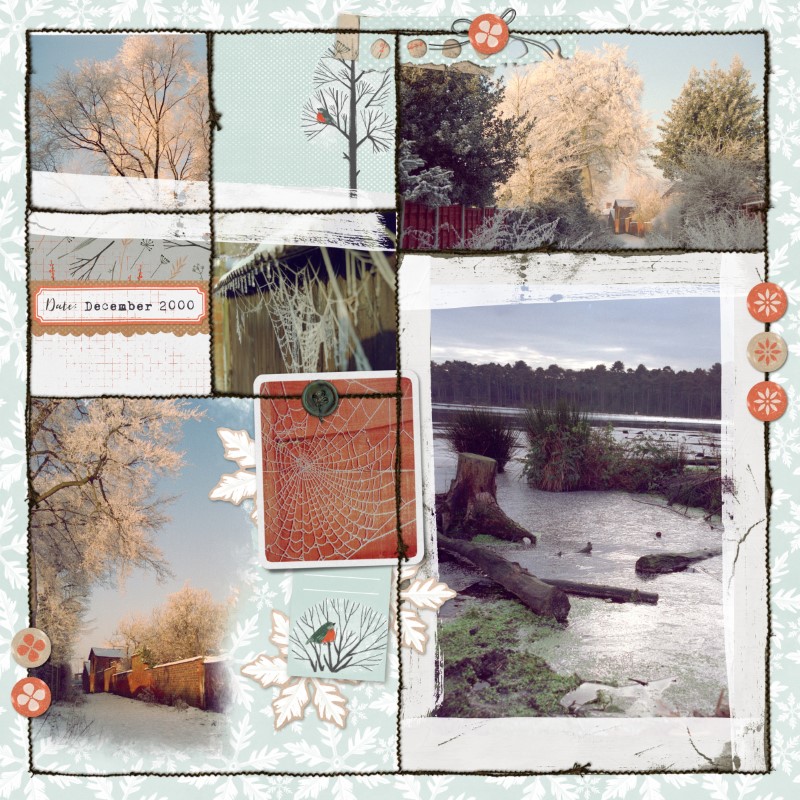 Winter Frost