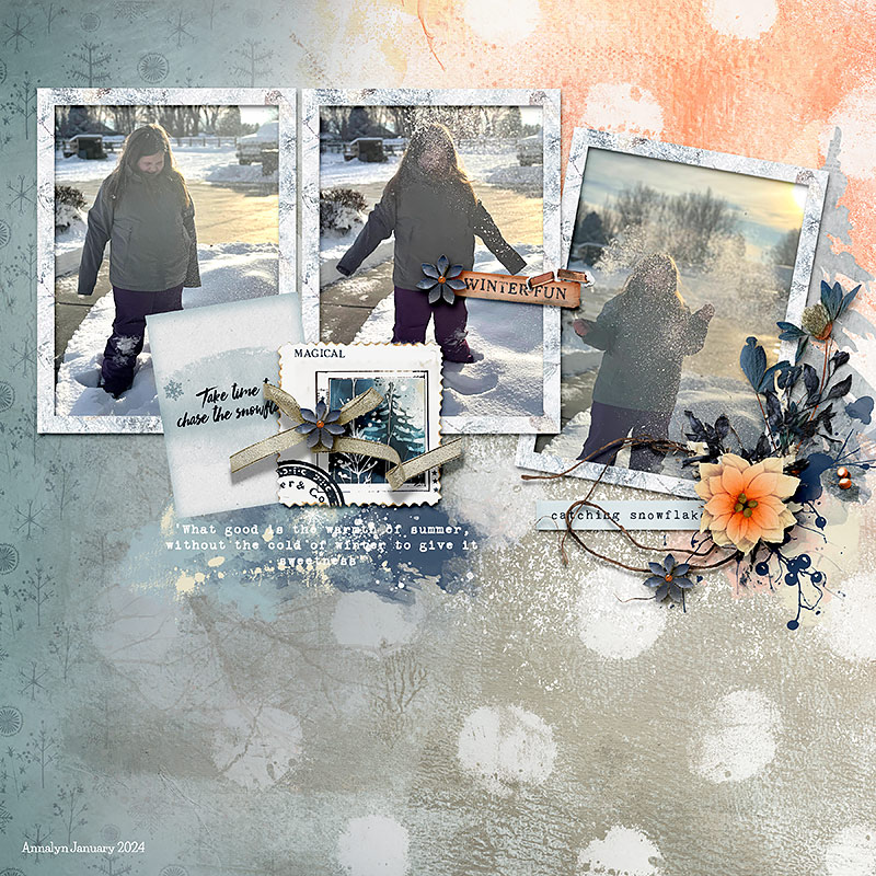 Winter-fun