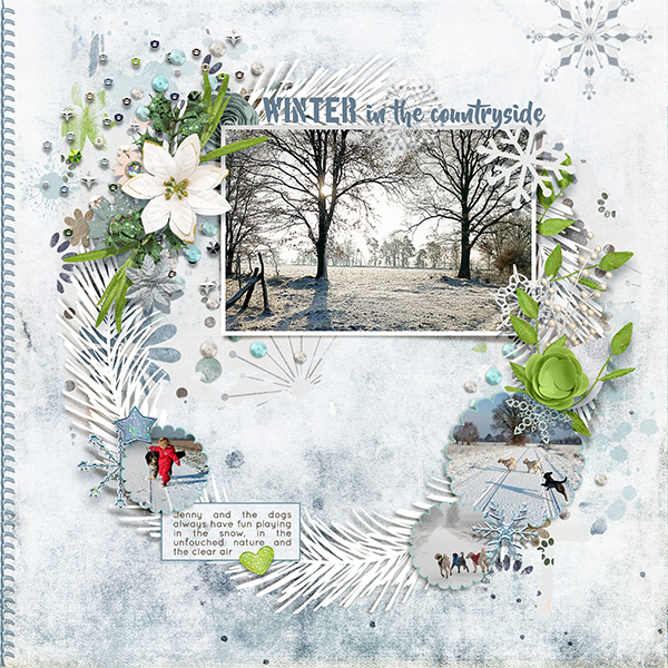 Winter-in-the-countryside