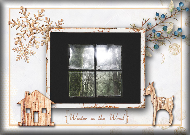 Winter-in-the-Wood
