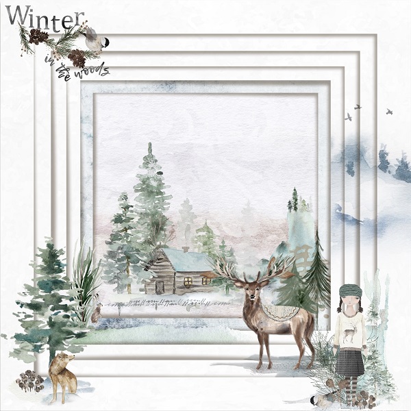 Winter In The Woods