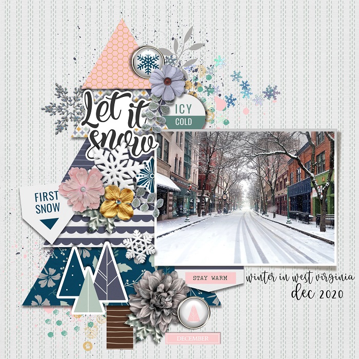 WINTER IN WV 2020