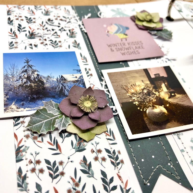 Winter is here - close up 1