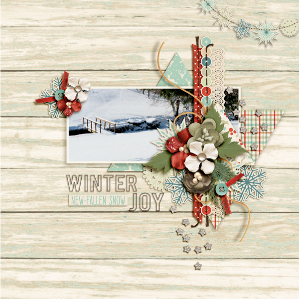 Winter Joy