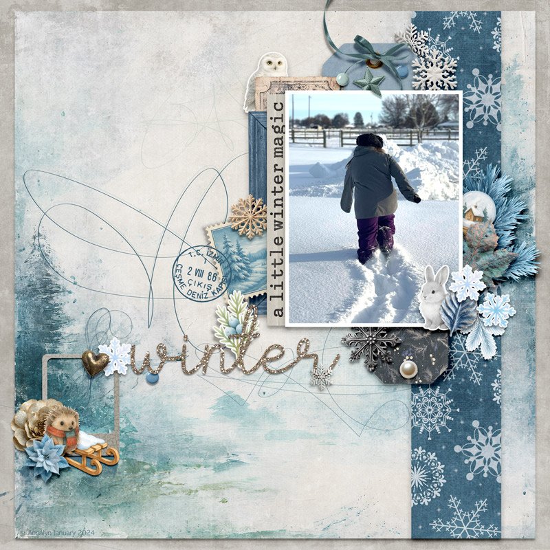 Winter.jpg