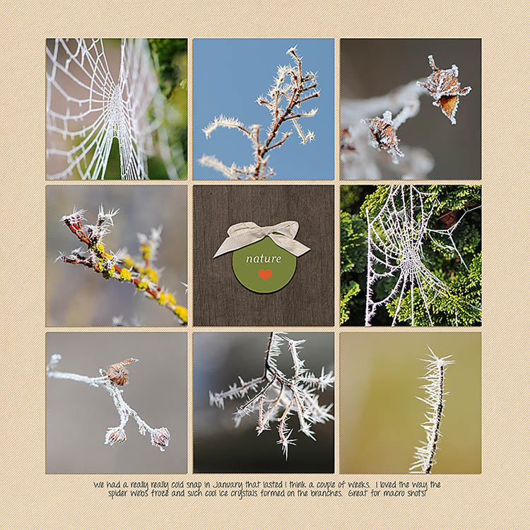 Winter macros