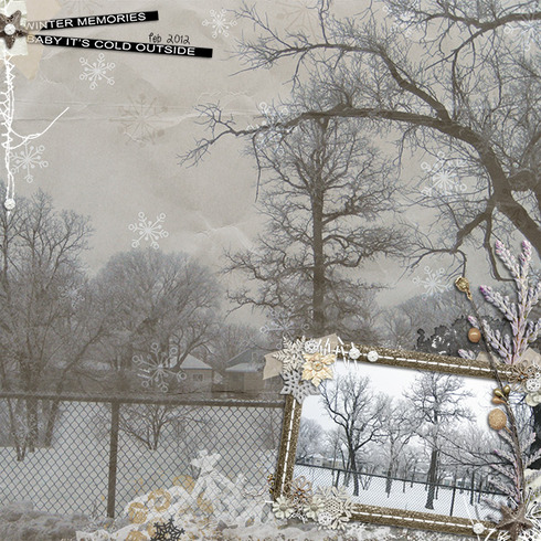 Winter Memories