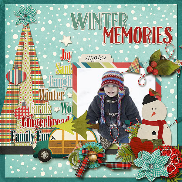Winter Memories