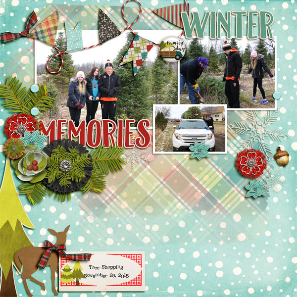 Winter Memories
