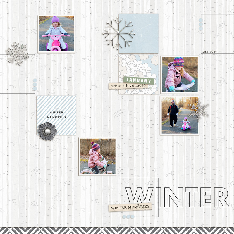 Winter Memories