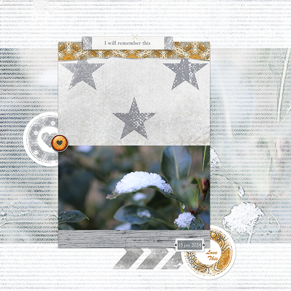 Winter Memories