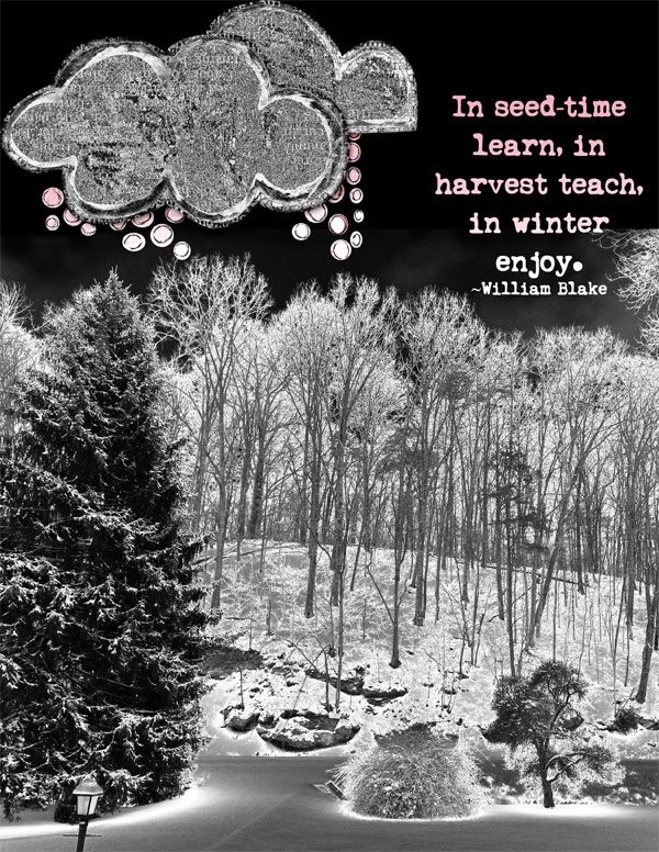 Winter Night