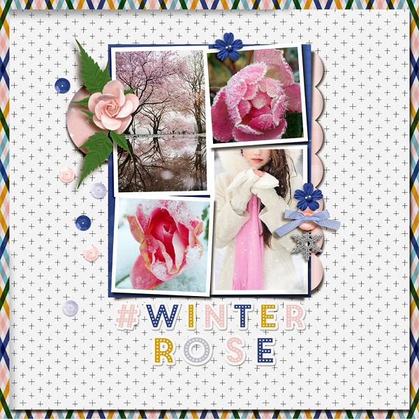 #winter rose