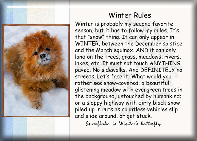 Winter-Rules