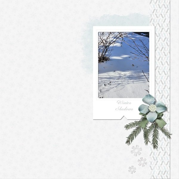 Winter Shadows 2026.jpg