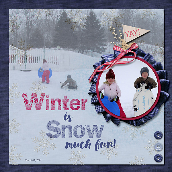 Winter Snow Fun