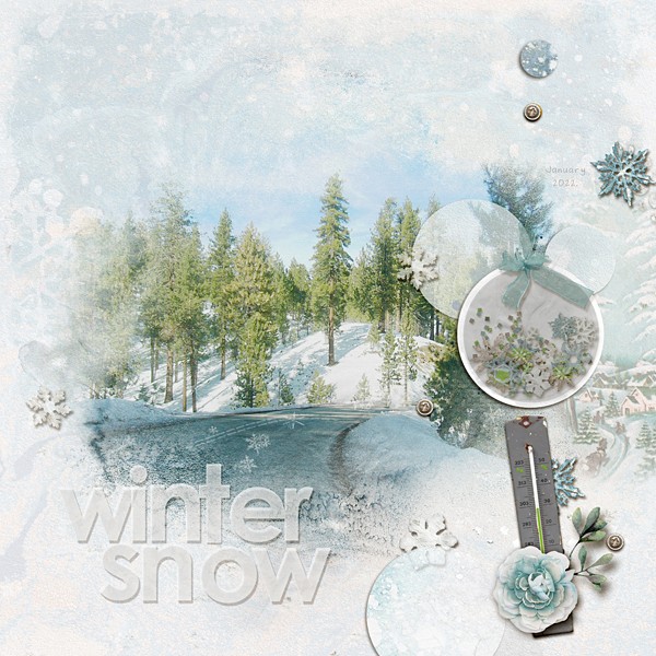 Winter Snow