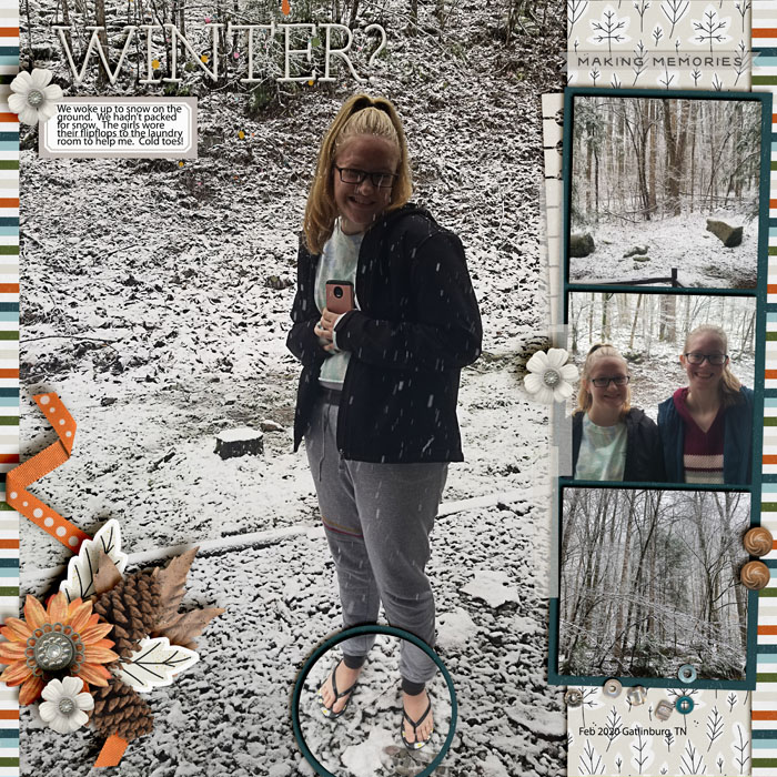 Winter Snow