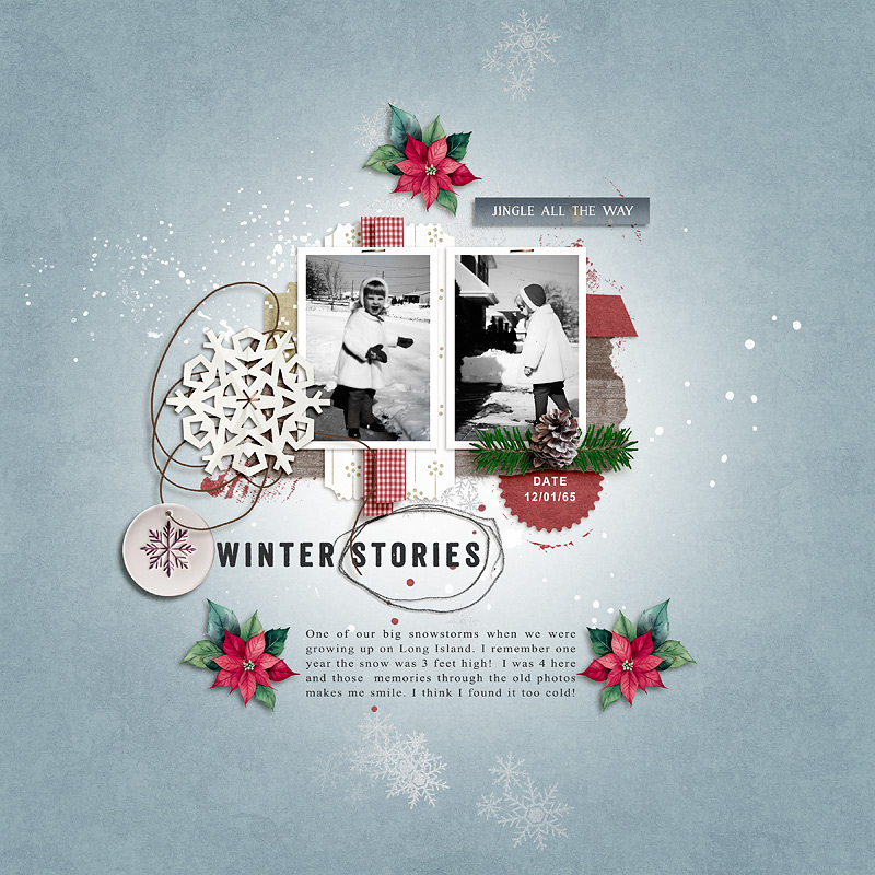 Winter Stories